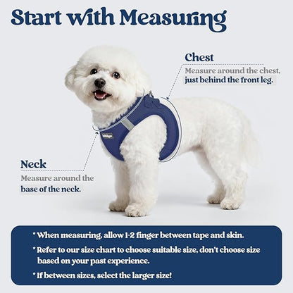 rabbitgoo Dog Harness Small Sized and Leash Set, Step in Soft Light Puppy Vest, Breathable Mesh Pet Harness, Reflective for Outdoor Safe Walking, Navy Blue XXXS