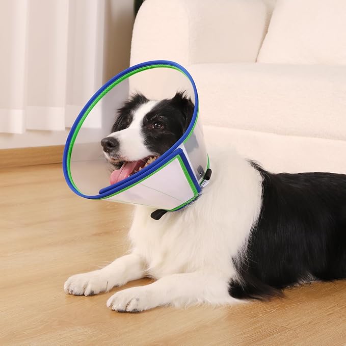 Soft Dog Cone Collar for Dogs After Surgery, Transparent Cone for Dogs to Stop Licking, Breathable Dog Neck Cone for Small Medium Large Dog, Adjustable Elizabethan Pet Recovery Collar (Blue, Size 2)