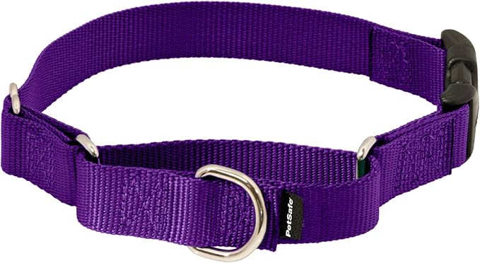 PetSafe Adjustable Martingale Collar - Improves Leash Manners - Escape Prevention - Gentle Behavior Training - Durable Nylon - Alternative to Choke Collar - Medium 1" - Deep Purple