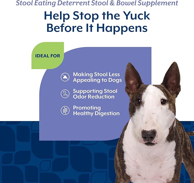 NaturVet – Coprophagia Stool Eating Deterrent Plus Breath Aid | Deters Dogs from Consuming Stool | Enhanced with Breath Freshener, Enzymes & Probiotics | 60 Chewable Tablets