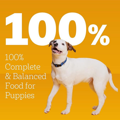 Pedigree Puppy Chopped Ground Dinner Wet Puppy Food with Lamb & Rice, Canned Dog Food, 13.2 oz. Cans, 12 Count