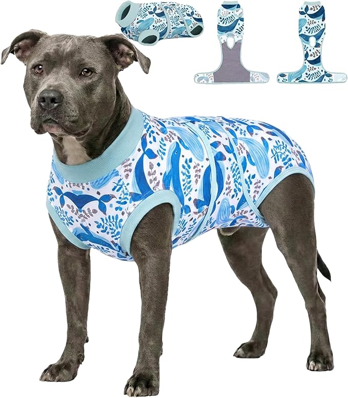 PetWarm Dog Recovery Suit After Surgery, Cone of Shame Alternatives, Anti-Licking Pet Surgical Recovery Pajamas Dog Onesie for Spay Neuter, Marine Animal Patterns, Blue, 2XL