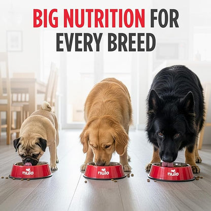 Nulo FreeStyle Adult Dry Dog Food - Salmon & Peas, Premium Grain Free Dog Food with Probiotics for Healthy Gut, Skin and Coat, Natural, High Protein Kibble for Small, Medium and Large Breeds, 26lb Bag