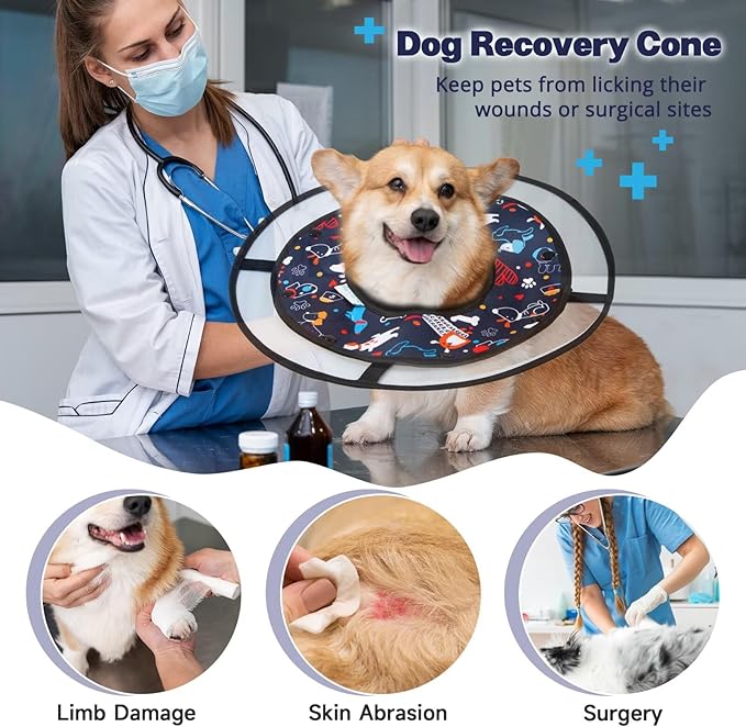 Paw Legend Soft Dog Cone Collar for Dogs After Surgery Pet Recovery Collar for Small Medium Short-Nosed Cats Lightweight Comfy Cone Alternative to Stop Licking, M