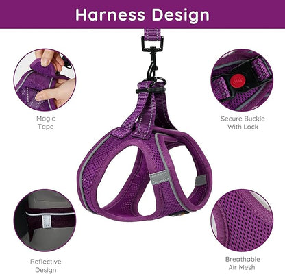 BELLA & PAL Step in Vest Harness for Small and Medium Dogs, No Pull Small Dog Harness with Leash Set, Comfortable Air Mesh Dog Vest Harness with Reflective Strip (Grape Purple, XXS)