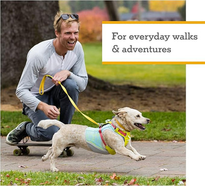 Ruffwear, Hi & Light, Everyday Lightweight Dog Harness, Trail Running, Walking, Hiking, All-Day Wear, Sage Green, Small