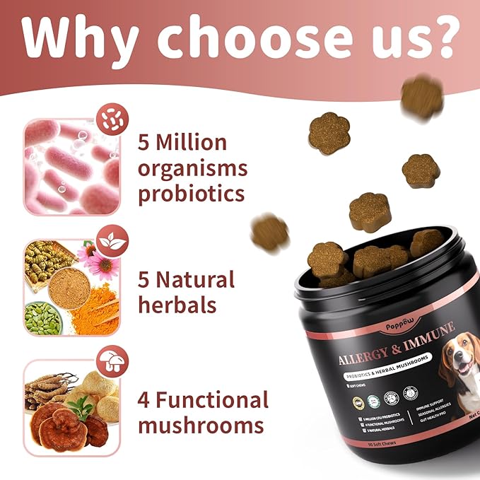 Turkey Tail Mushroom for Dogs,Dog Allergy Chews, Probiotics for Dog Allergy Relief - Itchy Skin- Allergy Paw Relief - Seasonal Allergies & Immune Gut Health & Joint, Bacon Flavor - 90 Count