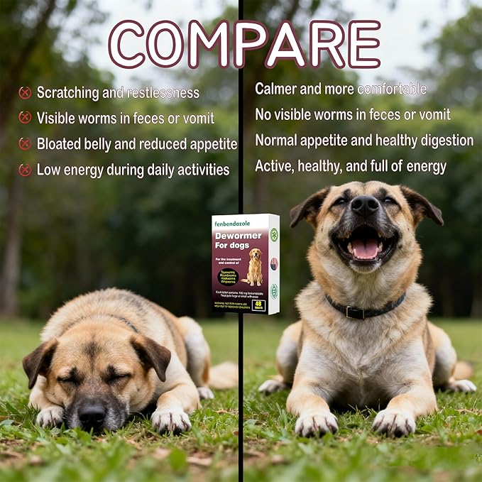 Dewormer for Dogs, Fenbendazole for All Wormers, Roundworms, Tapeworms, Whipworms and Hookworms, 48 Count
