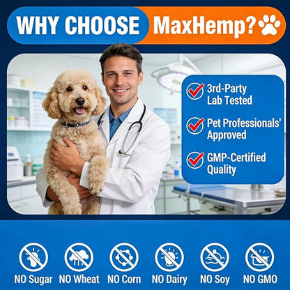 180 Chews Dog Allergy Chews, Itching Skin Relief, Natural Dog Allergy Relief Treatment for Paw Licking, Hot Spots, Anti-Itch, Dry Skin, Allergies & Immune Support Supplement