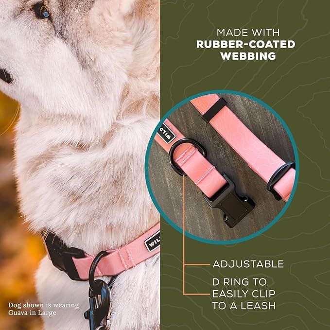 Wilderdog Waterproof Dog Collar - Repels Water & Dirt - Medium 13"-18" - Guava