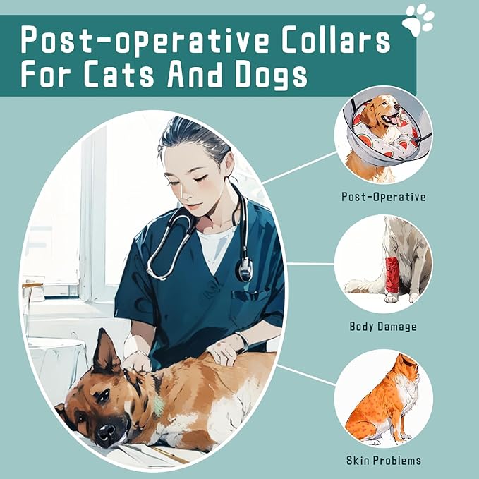Ovatt PVC inflatable pet collar for small medium and large dogs after surgery ，Washable Dog Cone Collar w/Removable Hard Cone for Dogs After Surgery (Watermelon, L)