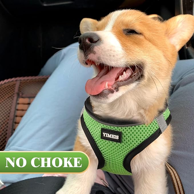 YIMEIS Dog Harness and Leash Set, No Pull Soft Mesh Pet Harness, Reflective Adjustable Puppy Vest for Small Medium Large Dogs, Cats (Grass Green, Medium (Pack of 1)