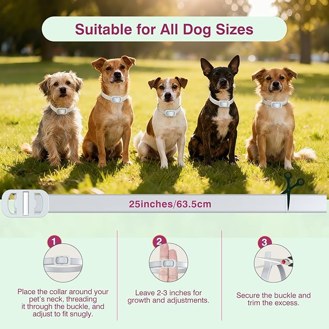 Natural Flea and Tick Collar for Dogs - 4 Pack, 8 Months Long-Lasting Protection, Waterproof, Adjustable Size for Small Medium and Large Dog