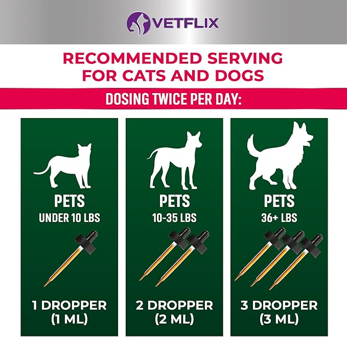 10 in 1 Pet Vitamins for Dogs, Cats, Puppies and Kittens - Made in USA - Glucosamine and Multivitamin Supplement - Joint, Immune and Skin Health Support - 2 Fl Oz