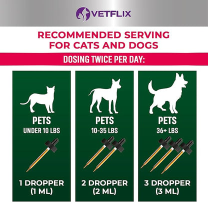 10 in 1 Pet Vitamins for Dogs, Cats, Puppies and Kittens - Made in USA - Glucosamine and Multivitamin Supplement - Joint, Immune and Skin Health Support - 2 Fl Oz