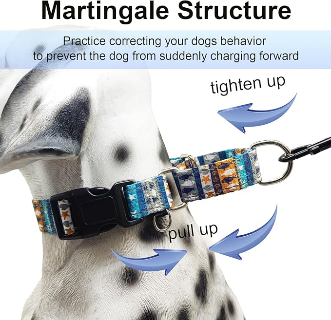 Reflective Martingale Collar with Buckle Shark Starfish Ethnic Stripe Adjustable Designer Dog Collars (Underwater World, Medium)