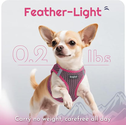 Eagloo Small Dog Harness and Leash Set, Step in Puppy Vest with Breathable Soft Mesh, Walking Reflective Pet Harness for Extra Small Dogs, Rose Red, XXS