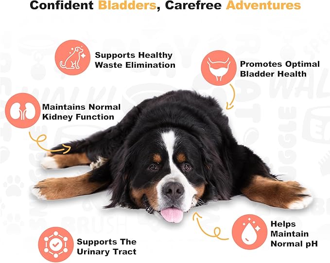 Doggie Dailies Cranberry Supplement for Dogs - Urinary Tract, Bladder & Kidney Support - Cranberry with Marshmallow Root, Licorice Root & Apple Cider Vinegar (Chicken) 225 Soft Chews