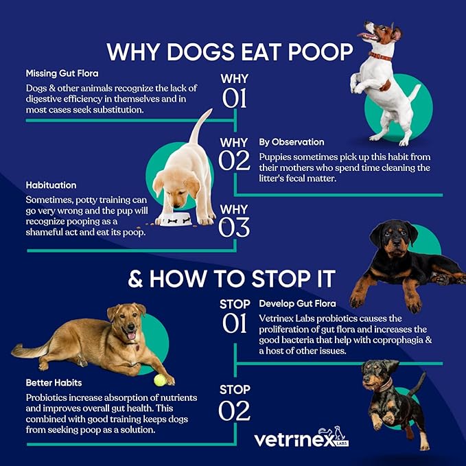 Coprophagia Poop Eating Deterrent & Prevention, Stop & Prevent Stool Eating Treatment - Probiotics for Dogs, Cats and Puppies - Forbids Dog from Eating Poop - Probiotic Powder (120 GMS)