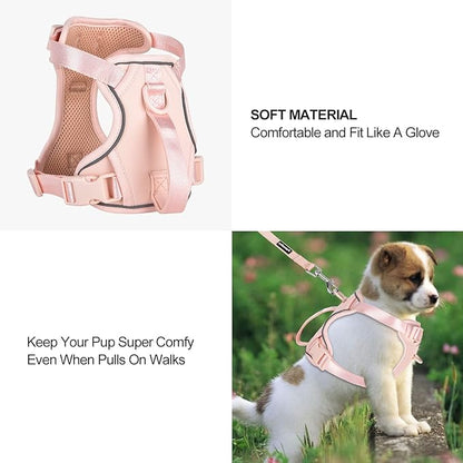 Petmolico Dog Harness for Small Dogs, Cute Harness Vest with Two Leash Clips and Soft Handle, Reflective Easy Walk Puppy Vest - Pink, Small