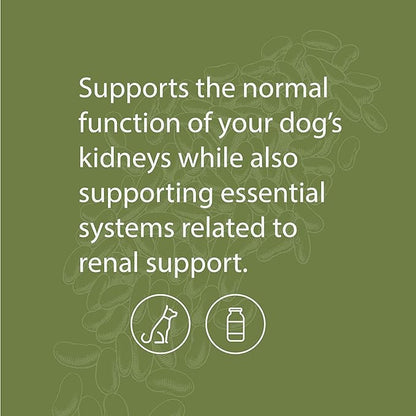 Standard Process Canine Renal Support - Dog Supplement for Kidney, Liver & Heart Health - Animal Supplement for Your Dog's Health - 3.9 oz (70 Servings)