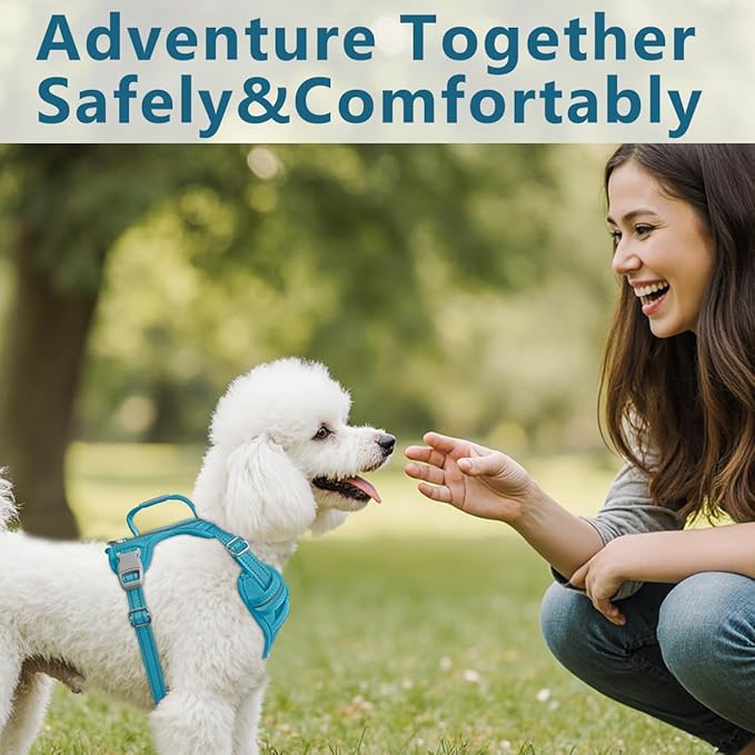 BARKBAY Dog Harness No Pull Oxford with ID Tag Pocket - Heavy Duty, Reflective, Easy Control for Large Dogs(Aqua Oxford,S)