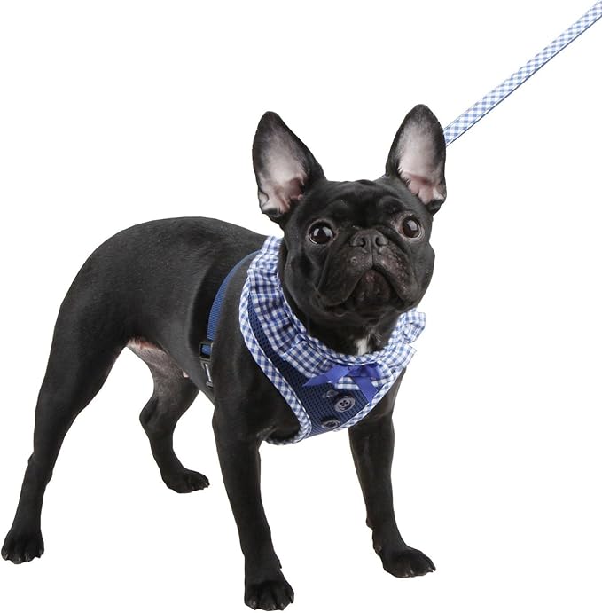 Puppia Vivien Dog Harness Over-the-Head All Season Cute No Pull No Choke Walking Training Adjustable for Small Dog, Black, Large