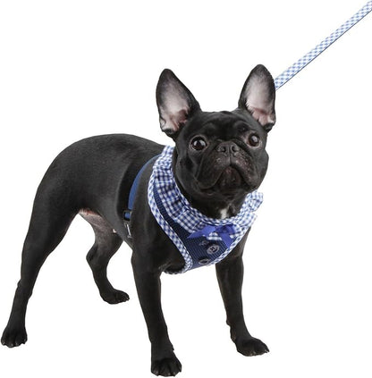 Puppia Vivien Dog Harness Over-the-Head All Season Cute No Pull No Choke Walking Training Adjustable for Small Dog, Black, Large