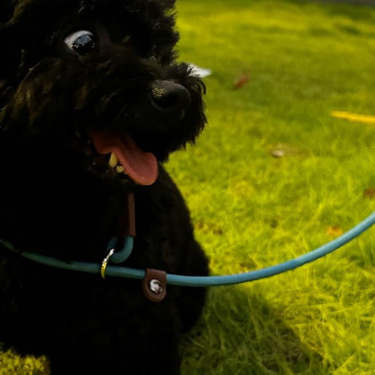 BTINESFUL 7FT Slip Lead Dog Leash, Strong Nylon Rope Leash, 1/4 inch Lightweight Dog Training Lead for Small Medium Large Dogs, Misty Blue