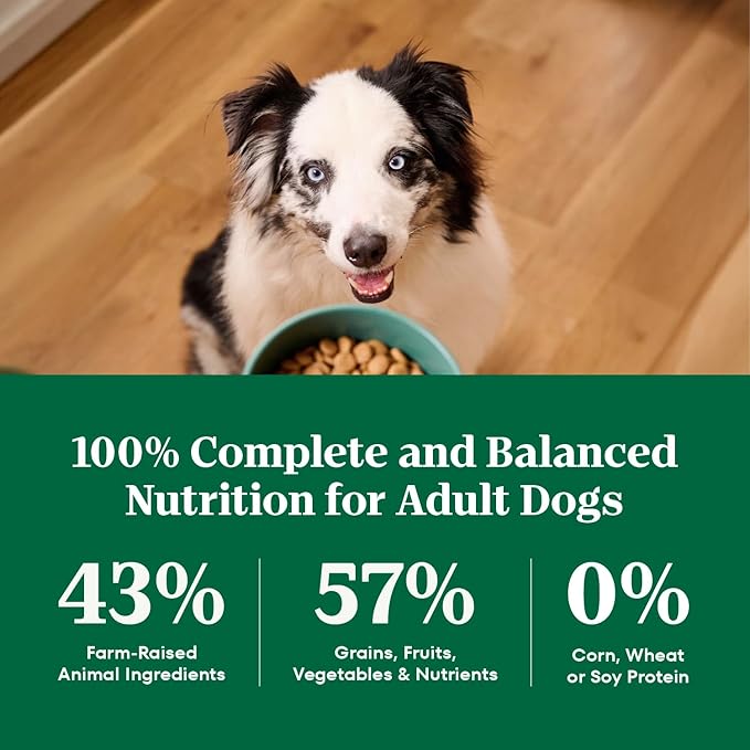 Nutro Natural Choice Adult Dry Dog Food, Salmon & Brown Rice Recipe, 4.5 lb. Bag