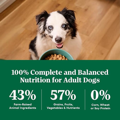Nutro Natural Choice Adult Dry Dog Food, Salmon & Brown Rice Recipe, 4.5 lb. Bag