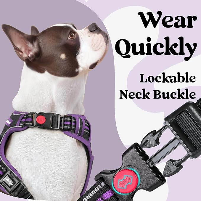 rabbitgoo Dog Harness Small Sized, No Pull Pet Harness with 3 Buckles, Adjustable Soft Padded Vest with Control Handle, Walking Reflective Pet Vest for Small Dogs, Black & Purple, S