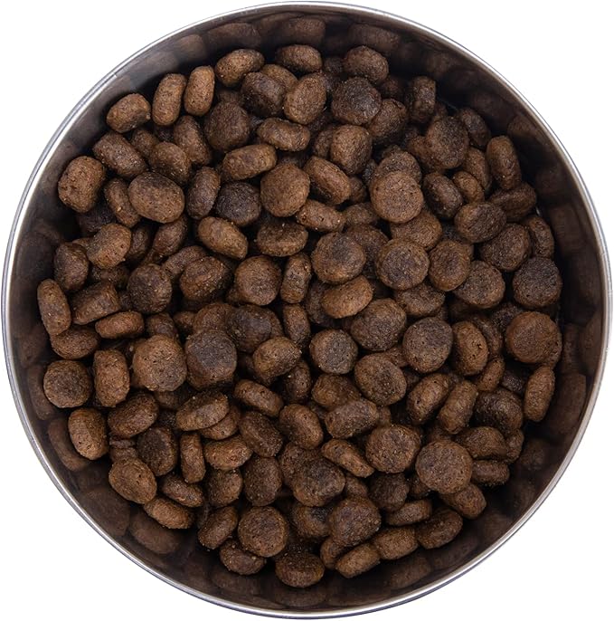 Health Extension Grain Free Buffalo & Whitefish Dry Dog Food - 30+ Superfoods and Probiotics for All Life Stages (4 lb)