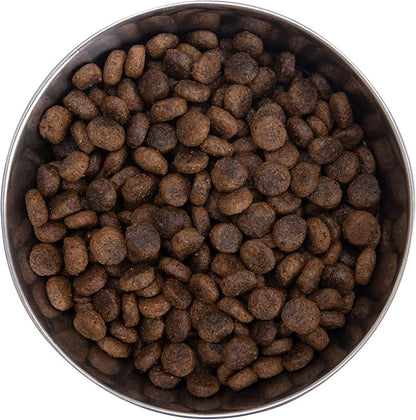 Health Extension Grain Free Buffalo & Whitefish Dry Dog Food - 30+ Superfoods and Probiotics for All Life Stages (4 lb)