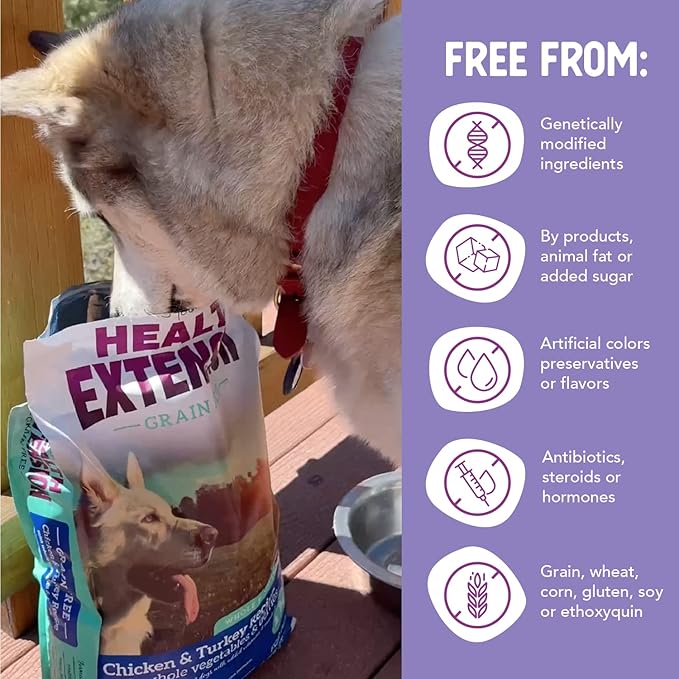Health Extension Grain Free Chicken & Turkey Dry Dog Food - 30+ Superfoods and Probiotics for All Life Stages (4 lb)