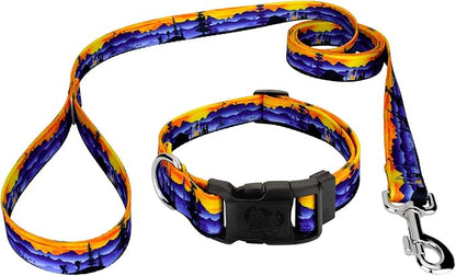 Country Brook Petz - Great Outdoors Everyday Dog Collar and Leash - Sports and Athletics Collection Featuring Spirited Designs (1/2 Inch, 2XS)