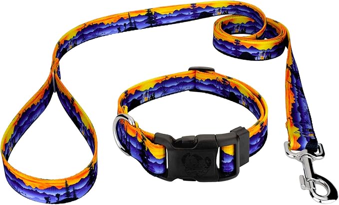 Country Brook Petz - Great Outdoors Everyday Dog Collar and Leash - Sports and Athletics Collection Featuring Spirited Designs (1 Inch, Extra Large)