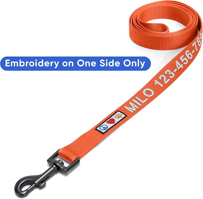 Pawtitas Personalized 6 ft Orange Dog Leash XXS/Cat Custom Name and Phone Embroidery Strong Nylon Leash for Small Breeds