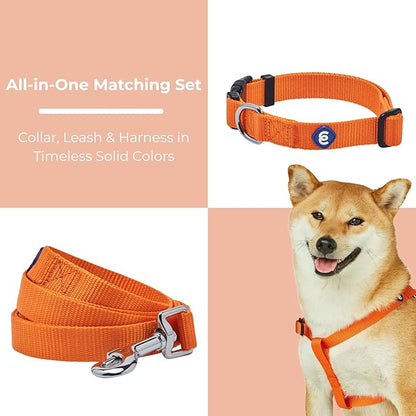 Blueberry Pet Essentials Matching Dog Collar Leash Harness Set in Orange Vermilion, Adjustable Classic Solid Color Nylon Collar with Harness & 5 ft Leash for Small Dogs