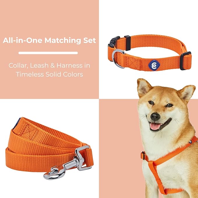 Blueberry Pet Essentials Dog Harness and Leash Set - Large Orange Vermilion Dog Collar and Leash Set for Eco-Conscious Owners, Adjustable, Durable, 4 ft Leash, Ideal for Active Pet Parents