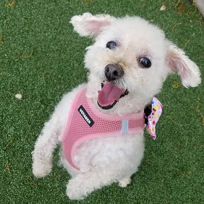 Best Pet Supplies Voyager Step-in Air All Weather Mesh Harness and Reflective Dog 5ft Leash Combo with Neoprene Handle, for Small, Medium and Large Breed Puppies - Set (Pink), XXX-Small