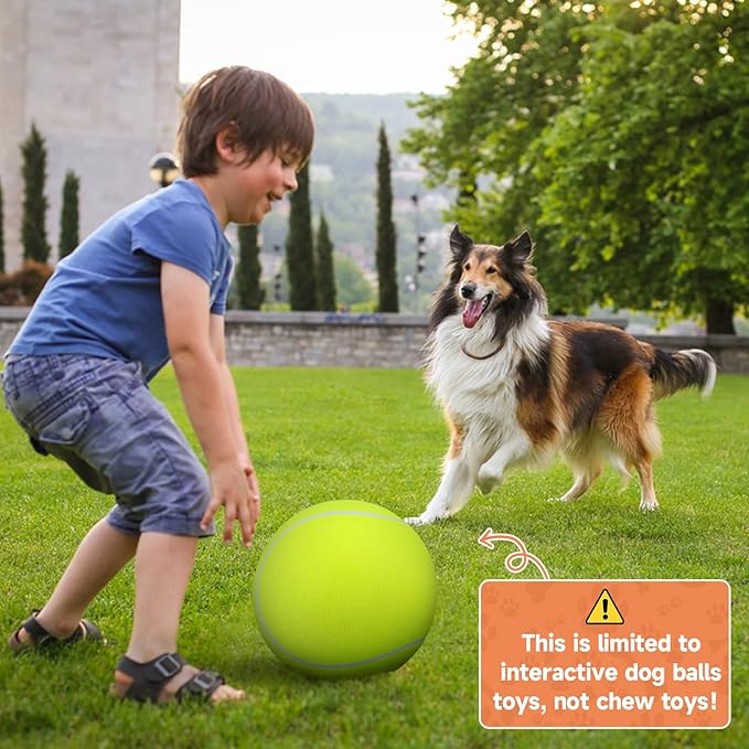QDAN Giant Large Tennis Ball for Dogs: 9.5" Premium Balls for Dog for Outdoor Play, Big Tennis Ball Dogs Toy, Tennis Ball for Small Medium Large Dogs, Pet Balls Birthday, Yellow