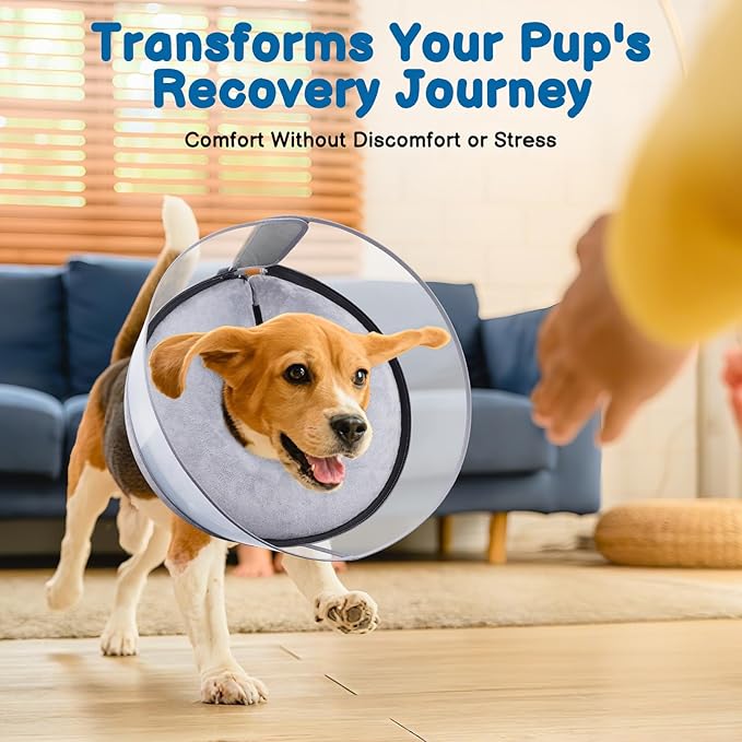 BARKLESS Dog Donut Collar, 2-in-1 Inflatable Dog Collars for After Surgery to Stop Licking Wounds, Patented Protective Donut Cone with High Shield for Small and Medium Pets (Grey, M+)