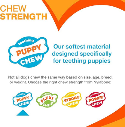 Nylabone New Puppy Starter Kit, 5 Chew Toys and 1 Natural Treat for Puppies, Multi Color, Bacon & Chicken Flavor, Small Dogs - Up to 25 lbs., 6 Pack