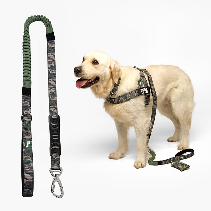 Dog Friendly Co. Bungee Dog Leash | Strain Free & Shock Resistant for Control | Neoprene Padded Handle, Heavy-Duty Carabiner Clip, and D-Ring | Green Camo, Size Small