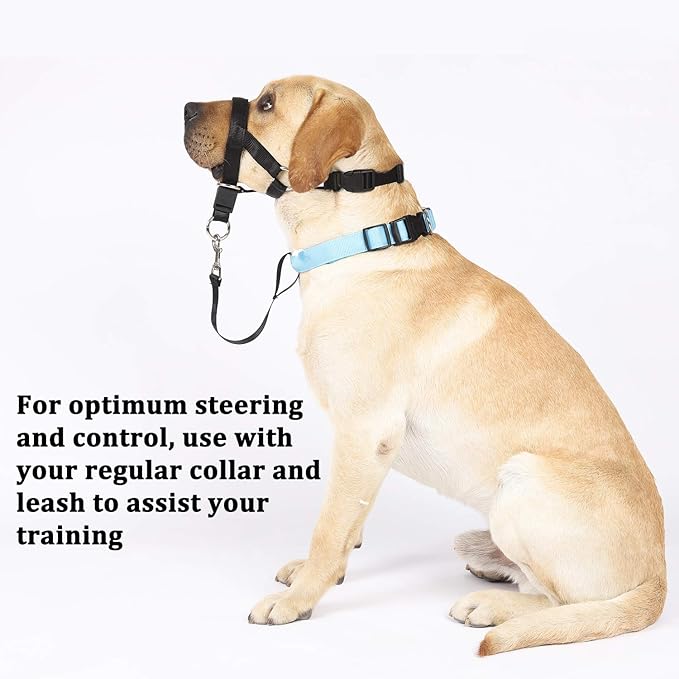 BARKLESS No-Pull Head Collar for Dogs Training & Walking Made Easy, Soft, Adjustable Dog Halter Harness with Safety Link- Put an End to Pulling on The Leash