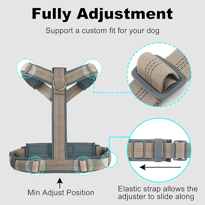 Plutus Pet No Pull Dog Harness, Adjustable Nylon Harness with Soft Padding, Reflective and Heavy Duty Dog Harness for Small, Medium, Large Dogs(Beige, M)