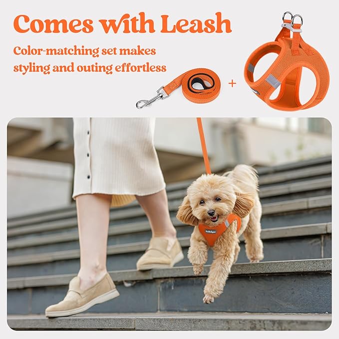 rabbitgoo Dog Harness Small Medium Sized and Leash Set, Step in Soft Light Puppy Vest, Breathable Mesh Pet Harness, Reflective for Safe Easy Walking, Orange XL