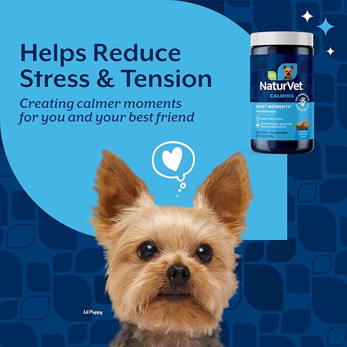 NaturVet Quiet Moments Calming Dog Supplement, Dog Soft Chews with Melatonin to Help Reduce Stress from Storms, the Vet, Fireworks, and Travel, Bacon and Chicken Flavored Pet Supplement, 240 Count Jar
