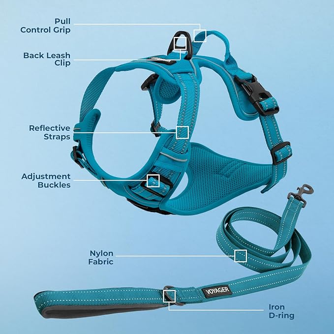 Voyager Dog Harness Dual Leash Attachment No-Pull Control Adjustable Soft but Strong Pet Harness for Medium and Large Dogs with 3M Reflective Technology, Leash Set Turquoise Nylon, S (Chest: 16-20")